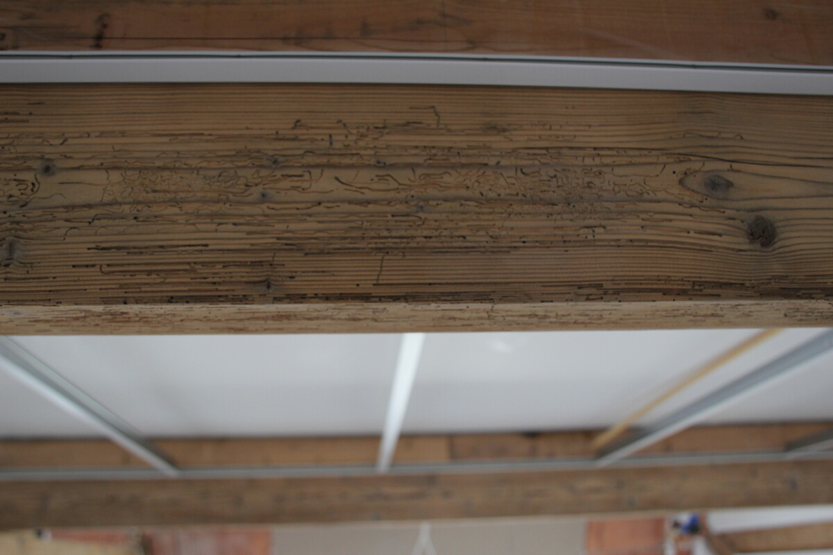 oude Eiken constructie