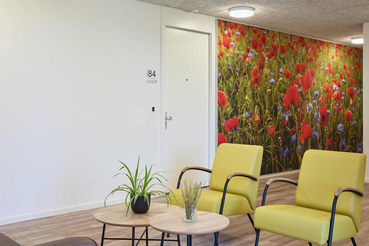ruimte met stoelen en bloemen wall visuals