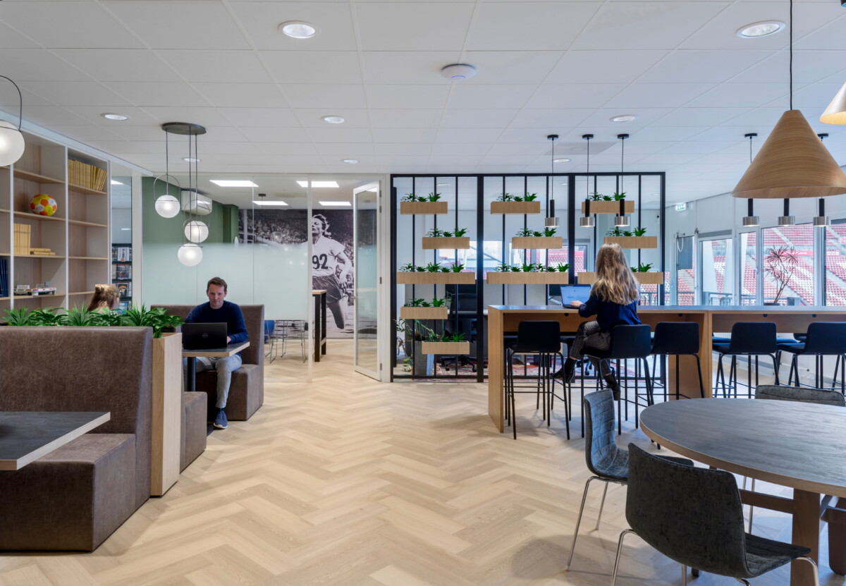 goedkoop akoestisch plafond